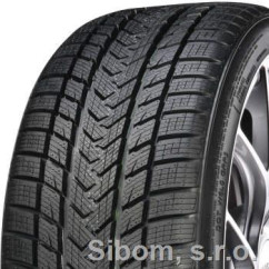 GRIPMAX 205/55 R 17 TL 95V Sure Grip Pro Winter XL