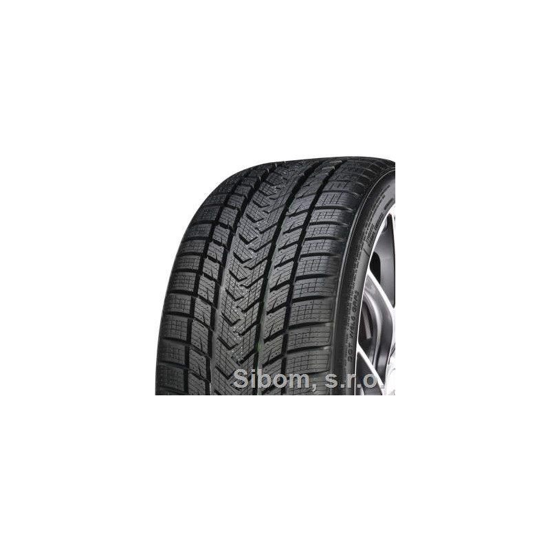 GRIPMAX 205/55 R 17 TL 95V Sure Grip Pro Winter XL